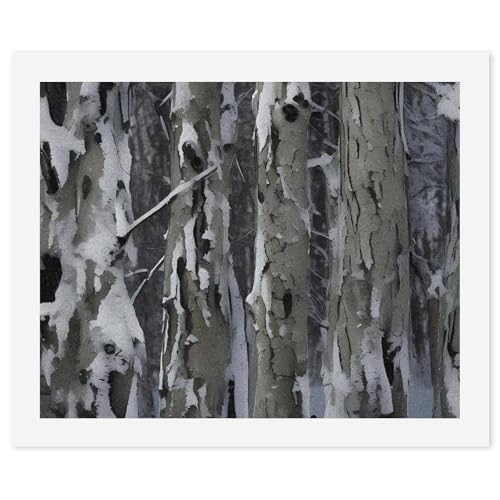 Peinture par numéros adulte motif camouflage arbre 57x47cm