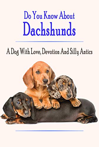 about dachshunds