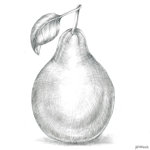 Derwent34214 Graphic Medium Graphite Drawing Pencils, Set of 12, Professional Quality, Black - Image 3