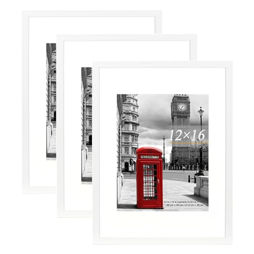 Scholar Tree picture frames White set of 3, 12x16in(30x40cm ) Poster Frame,Wall Mountable, 12X16-3P