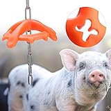 [FACILE À ACCROCHER] Équipé longue chaîne en métal pour une suspension facile, gardant le jouet propre et hygiénique.