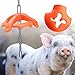 Kunststoff hängen Ferkel Schwein kauen Spielzeug