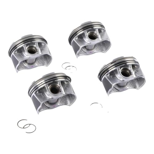 �s�X�g���ƃ����O�Z�b�g 1.6T O77mm 11257601181 WG1261177 8744480000 Countryman Paceman �ƌ݊�������