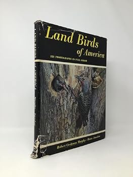 Land Birds of America