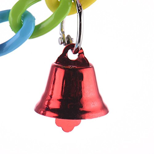 Keersi D5BV Parrot suspension bridge, acrylic - Image 5