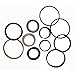 Stevens Lake Parts 1543252C1 Interchangeable Cylinder Seal Kit Fits Case Models: 580D, 580E, 580 Super E, (580C 1-Piece Piston)