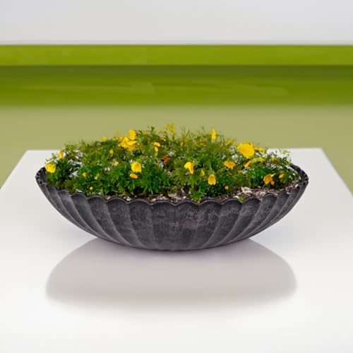 Pflanzschalen für Den Friedhof Die 15 besten Produkte im Vergleich