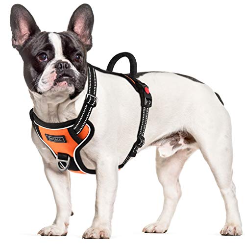 Petacc - Arnés para Perros de tamaño Mediano y Grande, Ajustable, Reflectante, arnés para Perros con Hebilla de Anillo en D Post-Positiver