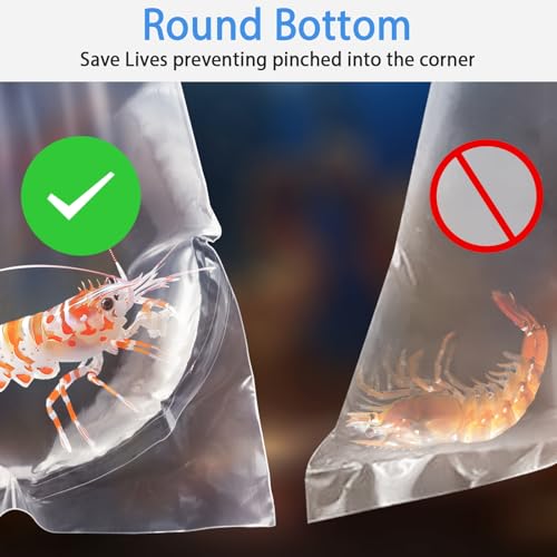 Image of Fish Bags 100 Packs, 4x10 inch Round Bottom Double Seal Clear Live Fishes Bags Fish Transport Container for Small Fishes and Shrimp (Ultimate 3 mil, 100 Pack)