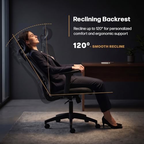 Image of DROGO Ergonaut Ergonomic Office Chair for Work from Home | Computer Chair with 2D Headrest, Armrests & Adjustable Lumbar Support | Breathable Mesh with 120 Recline, 1-Year Warranty (Black)