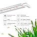 Finnex Planted+ 24/7 Aquarium LED Light, 660nm Plant Red, 3.0 Series, 36