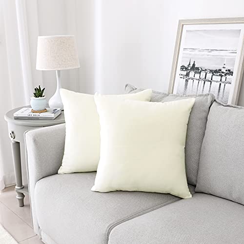 NiNi ALL Decorative Throw Pillow Covers Pack of 2, Velvet Throw Pillow Cases for Couch Pillows Cover Bedroom Living Room Outdoor, Pillow Covers 24x24 Inch Cream White by NiNi ALL - Used condition - US$18.65