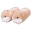Hamster Orange