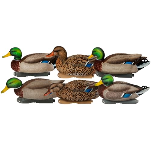 Avery GHG Pro-Grade XD Series Mallard Harvester Pack Decoys | Realistic Durable Floating Duck Hunting Decoy Set | Anatomical Poses, Supple Bodies, Life-Like Details, 60/40 Swim Keel, 6-Pack (76118)