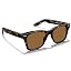 Brown Tortoiseshell Frame, Brown Lenses-c13