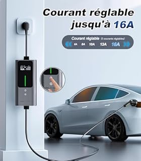 VDLPOWERVP Chargeur Voiture Electrique, 3.6KW EV Chargeur Type 2, Courant réglable 6/8/10/13/16A, 5M Cable Recharge Véhicule Electrique avec EU Schuko, Borne de Recharge Monophasé IP65 (3.68KW-5M)