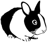 Apresentador multimídia Logitech R800 L.Verde