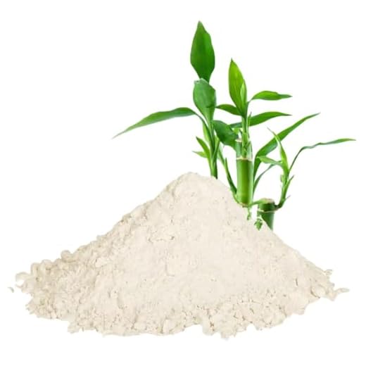 Bongiovanni Bontà Naturali Fibra de bambú 350g sin gluten