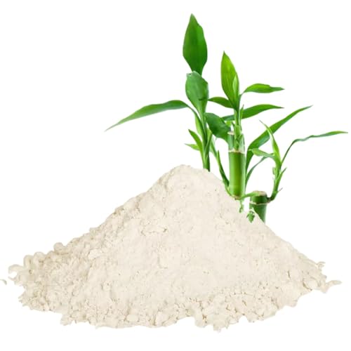 Bongiovanni Bontà Naturali Fibra de bambú 350g sin gluten