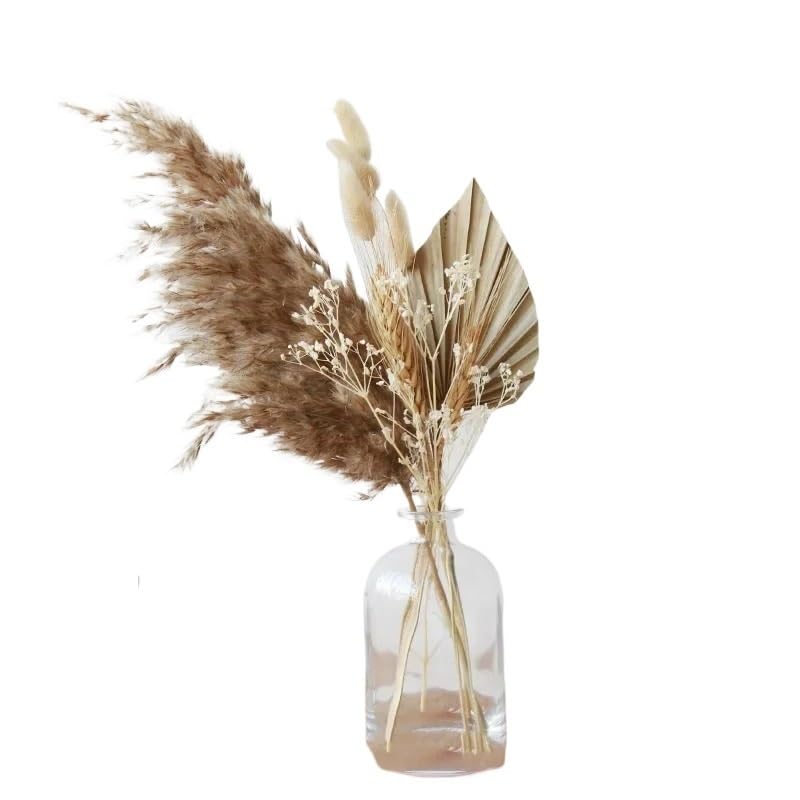 Pampas Grass Natural Seco Decorativo 30-35cm miniatura 1