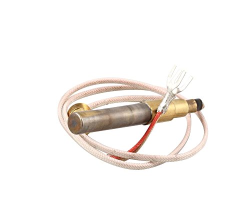 Wells 2T-42195 Thermopile, FGS-40