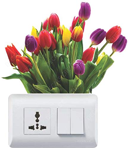 Decals Creation Vinyl Flowers Switch Board Fridge Wall Sticker, 23.62 x 29.92 x 0.39 Inches, Multicolour, Botanical 4
