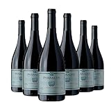 Bestia Vinho Tinto Chileno Collection Carmenére 750Ml 9 Kit 6 vinhos Parrales Reserva Cabernet Sauvignon, Vinho Chileno, Bestias Wines,