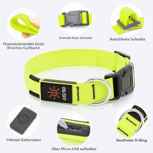 KOSKILL Leuchthalsband Hund Wiederaufladbare USB LED Hundehalsband Wasserdichtes Leuchtendes Hunde Halsband Einstellbare Super Helle für Kleine Mittlere Große Hunde (Grün, L)