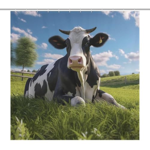 Vache rideau de douche imperméable à séchage rapide avec 12 crochets robustes
