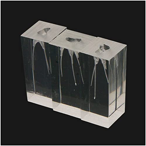 Generic BL08311659 10Pcs Dental Endodontic Root Canal Practice Model Endo Training Block Clear thumb #3