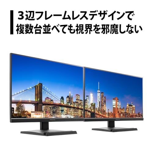 プリンストン モニター PTF-B241W-BK
