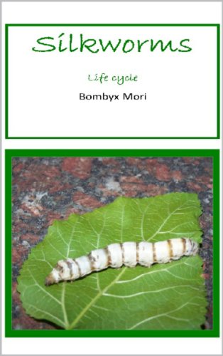 Silkworms (English Edition)