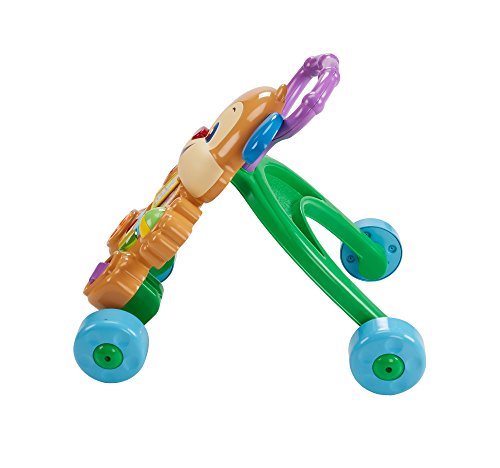 Lauflernwagen von Fisher-Price mit Hündchen für Babys