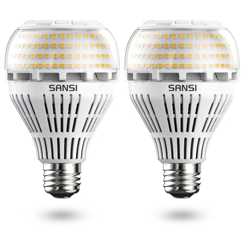 SANSI E27 LED Lampe, 22W ersetzt 200W Glühbirne, E27 Warmweiß Lampe, 3000 Kelvin 3000 Lumen, nicht dimmbar Birne, Superhell LED Leuchtmittel für Küche, Werkstatt, Garage, Hof, 2er-Pack