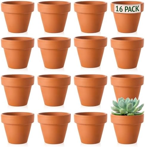 Vasi piante terracotta - Pagina 3