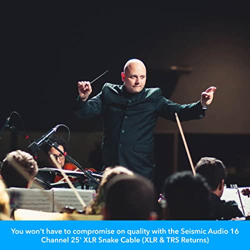 Seismic Audio - 16 Channel 25' Pro Stage XLR Snake Cable (XLR 1/4" TRS Returns) for Recording, Stage, Studio use (25 Feet - 16 Channel)