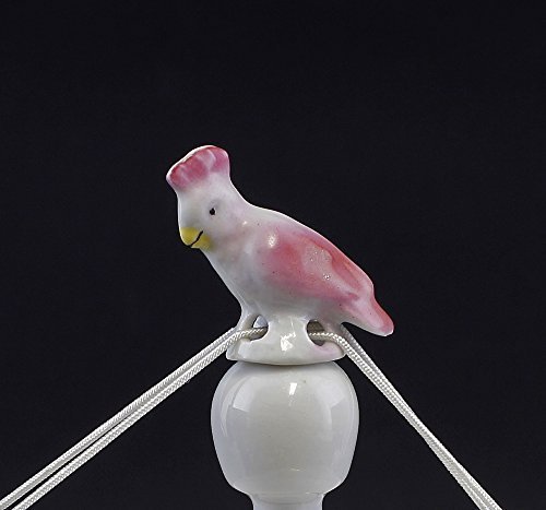 Porcelana recogegotas Cacata