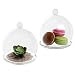 Set of 2 Decorative Clear Glass Dome Cloche Bell Jars / Succulent Terrariums Air Plant Covers w/ Saucers