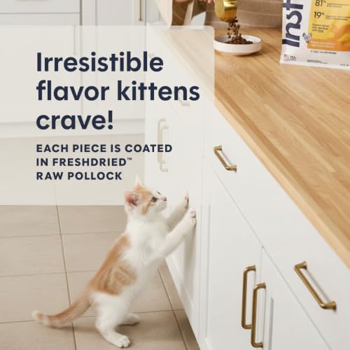 Image of Instinct Original Kitten Dry Food, Raw Coated, Real Chicken, 4.5 lb. Bag
