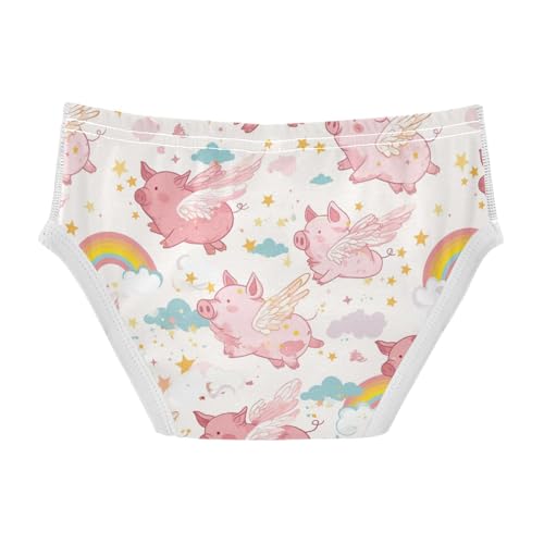 Wusikd Pink Piglets Wings Boys' Underwear Cotton Flying Clouds Boys Briefs Soft Toddler Underwear 2T2