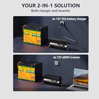 ECO-WORTHY 200 Watt 12V Complete Solar Panel Starter Kit for RV Off Grid with Battery and Inverter: 2pcs 100W Solar Panel + 30A Charge Controller + 100Ah Lithium Battery + Premium Solar Inverter