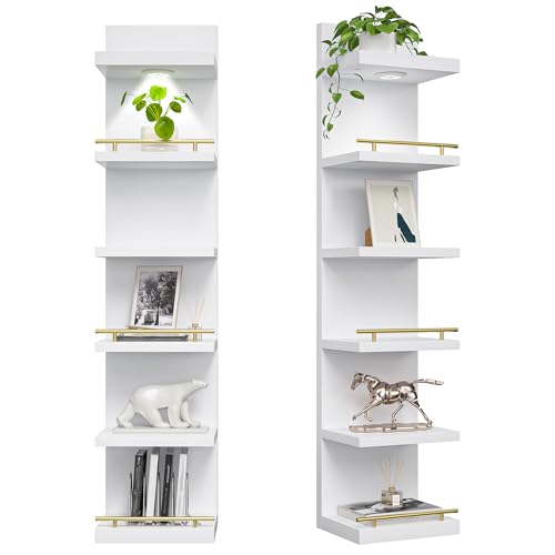 DurayLoly 2 Pack 6 Tier Wall Shelf Unit, White Floating