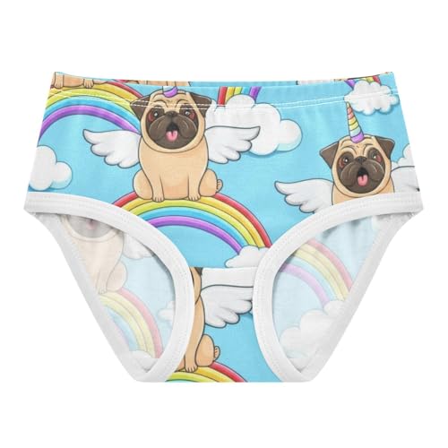 Cute Pug Dog Rainbow Blue Sky Panties Little Girl Girls Underwear Toddlers Cotton Print Briefs Undies Kids 2t