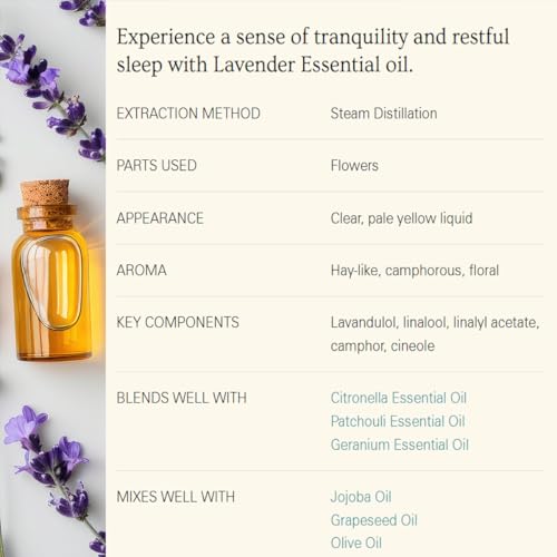 Aceite Esencial de Lavanda Kiki's 4 Fl Oz miniatura 6