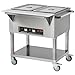 VEVOR 2-Pan Commercial Food Warmer, 2 x 20.6QT Electric Steam Table, 1000W Professional Buffet Catering Food Warmer with 4 Wheels (2 Lockable), Food Grade Stainless Steel Server for Party Restaurant