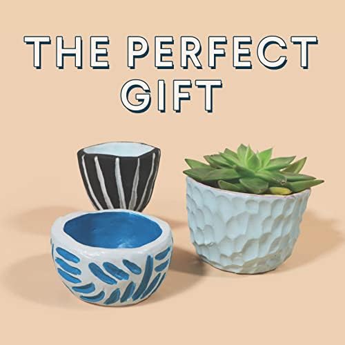 noah Air Dry Clay - Adult Pottery - White Clay - 2 Packs x 750g