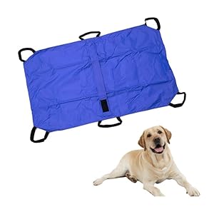 CiCixixi Faltbare Haustiertrage Notfall-Trage