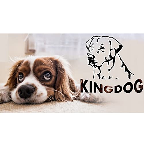 Kingdog Hundebett 75x65 cm personalisiert wasserdicht schwarz