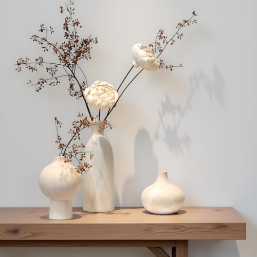 SincereLuxe White Ceramic Vase Set of 3 in Beige...