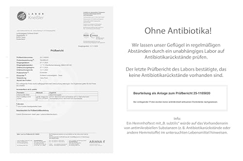 Landmetzger Schiessl's » Frische Weihnachtsgans « ca. 5300g | Aus Freilandhaltung | Natürliches Futter aus regionalem Anbau | Küchenfertig | Schlachtfrisch